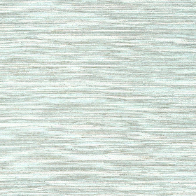 Normandy Robin's Egg T14553 by Thibaut Wallpaper Thibaut Wallpaper Normandy Robin's Egg T14553Wallpaper Texture Resource 8 Non-Woven Vinyl Wallpaper UNITED STATES </p><p>Repeat: V: 21 27 - Fabric Carolina -