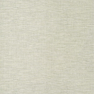 Spiro Taupe T14563 by Thibaut Designer Wallpaper