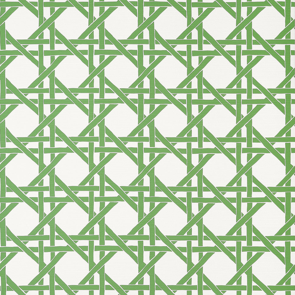 Canary Trellis Green T15819  by Thibaut Wallpaper Thibaut Wallpaper Canary Trellis Green T15819 Wallpaper ISLANDER Non-Woven Vinyl Wallpaper  U.S.A </p><p>Repeat: H: , V: 9  (22.86 cm) 27 in  (68.58 cm) - Fabric Carolina -