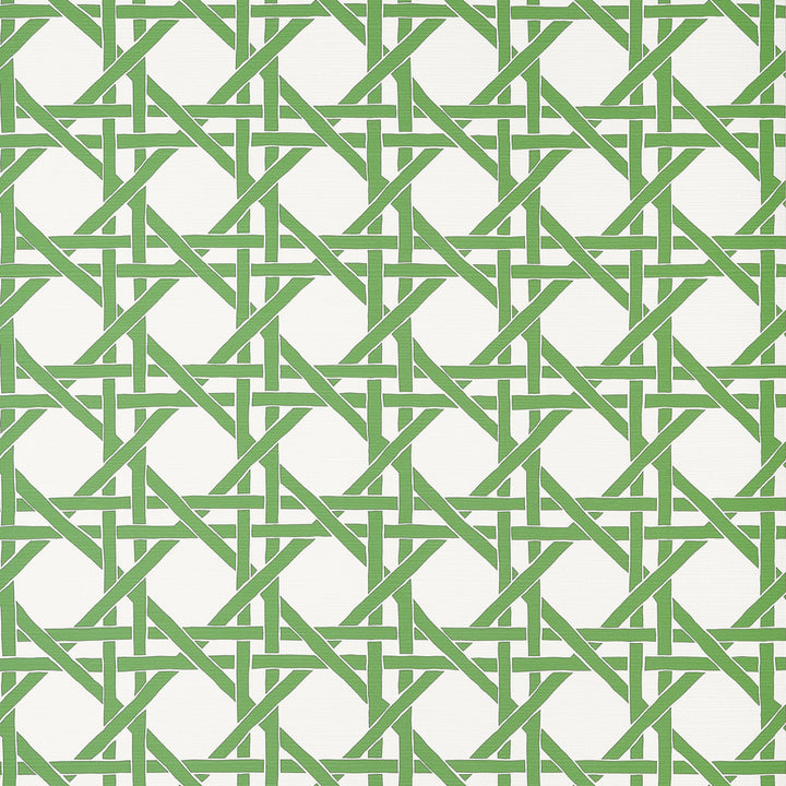 Canary Trellis Green T15819  by Thibaut Wallpaper Thibaut Wallpaper Canary Trellis Green T15819 Wallpaper ISLANDER Non-Woven Vinyl Wallpaper  U.S.A </p><p>Repeat: H: , V: 9  (22.86 cm) 27 in  (68.58 cm) - Fabric Carolina -
