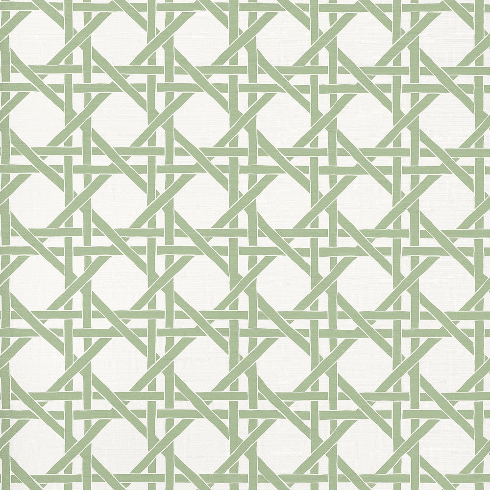 Canary Trellis Willow T15820  by Thibaut Wallpaper Thibaut Wallpaper Canary Trellis Willow T15820 Wallpaper ISLANDER Non-Woven Vinyl Wallpaper  U.S.A </p><p>Repeat: H: , V: 9  (22.86 cm) 27 in  (68.58 cm) - Fabric Carolina -