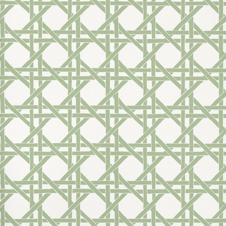 Canary Trellis Willow T15820  by Thibaut Wallpaper Thibaut Wallpaper Canary Trellis Willow T15820 Wallpaper ISLANDER Non-Woven Vinyl Wallpaper  U.S.A </p><p>Repeat: H: , V: 9  (22.86 cm) 27 in  (68.58 cm) - Fabric Carolina -
