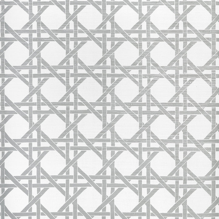 Canary Trellis Metallic Silver T15822  by Thibaut Wallpaper Thibaut Wallpaper Canary Trellis Metallic Silver T15822 Wallpaper ISLANDER Non-Woven Vinyl Wallpaper  U.S.A </p><p>Repeat: H: , V: 9  (22.86 cm) 27 in  (68.58 cm) - Fabric Carolina -
