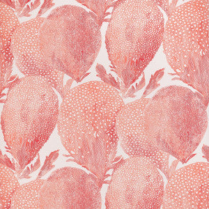 Under The Sea Coral T15825  by Thibaut Designer Wallpaper