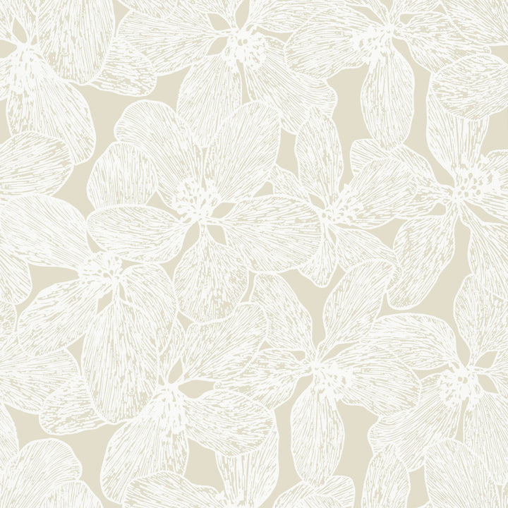 Island Orchid Beige T15851  by Thibaut Wallpaper Thibaut Wallpaper Island Orchid Beige T15851 Wallpaper ISLANDER Non Woven Wallpaper  U.S.A </p><p>Repeat: H: , V: 36  (91.44 cm) 27 in  (68.58 cm) - Fabric Carolina -