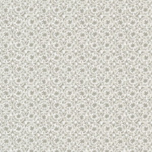 Sand Dollar Pearl and Charcoal T15859  by Thibaut Designer Wallpaper