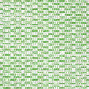 Palawan Green T16261 by Thibaut Designer Wallpaper