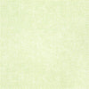 PLUCKEMIN Green T176 by Thibaut Designer Wallpaper