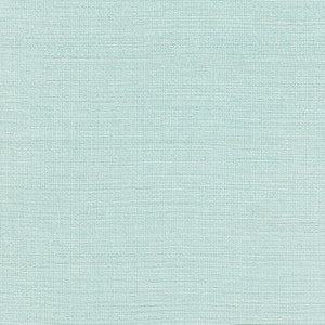 Shang Extra Fine Sisal Seaglass T19615 by Thibaut Designer Wallpaper