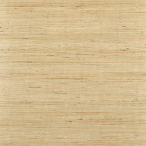 Sydney Light Taupe T19654 by Thibaut Designer Wallpaper