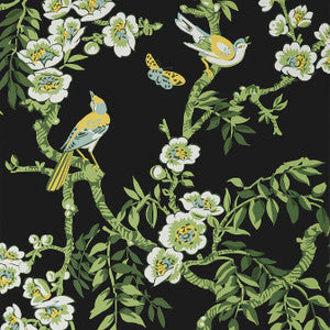 Yukio Black T20845 by Thibaut Designer Wallpaper