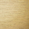 Sutton Metallic Gold T24062 by Thibaut Designer Wallpaper