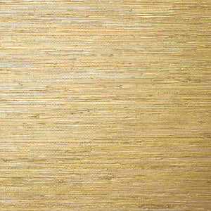 Sutton Metallic Gold T24062 by Thibaut Designer Wallpaper