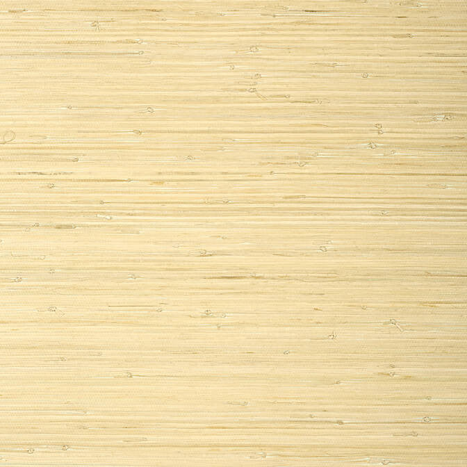 Raffia Palm Natural T24065 by Thibaut Wallpaper Thibaut Wallpaper Raffia Palm Natural T24065Wallpaper Grasscloth Resource 5 Raffia KOREA </p><p>Repeat: V: - 36 - Fabric Carolina -