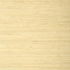 Raffia Palm Natural T24065 by Thibaut Designer Wallpaper