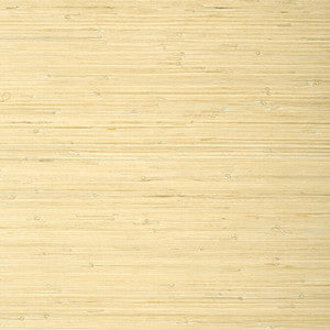 Raffia Palm Natural T24065 by Thibaut Designer Wallpaper