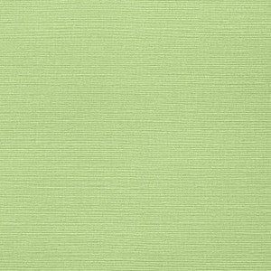 Taluk Sisal Spring T287 by Thibaut Designer Wallpaper