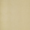 ALLIGATOR Cream T3018 by Thibaut Designer Wallpaper