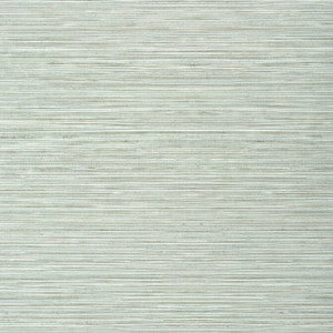 Kendari Grass Robin's Egg T303 by Thibaut Designer Wallpaper