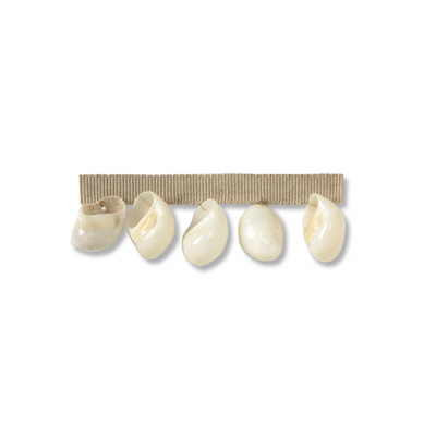 Pearl Shells Salt by Kravet Couture Trim Kravet Couture Trim Pearl Shells SaltTrim BARBARA BARRY COLLECTION SHELLS - 95%;POLYESTER - 5% China </p><p>Repeat: H: 1, V: 0 1.5 - Fabric Carolina -