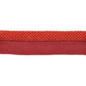 Electric Edge Fanta by Kravet Design Designer Trim