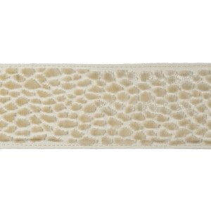 Velvet Pebble Pearl by Kravet Design Designer Trim