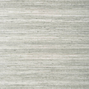 Wild Silk Charcoal on Metallic Silver T335 by Thibaut Designer Wallpaper