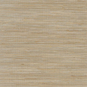 St. Martin Taupe T3617 by Thibaut Designer Wallpaper