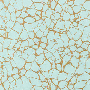 Amato Aqua T4018 by Thibaut Designer Wallpaper