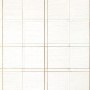 Wood Panel White and Metallic Pewter T41000 by Thibaut Designer Wallpaper