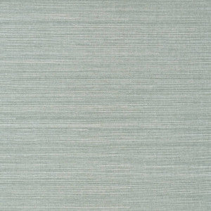 Shang Extra Fine Sisal Mineral T41168 by Thibaut Designer Wallpaper