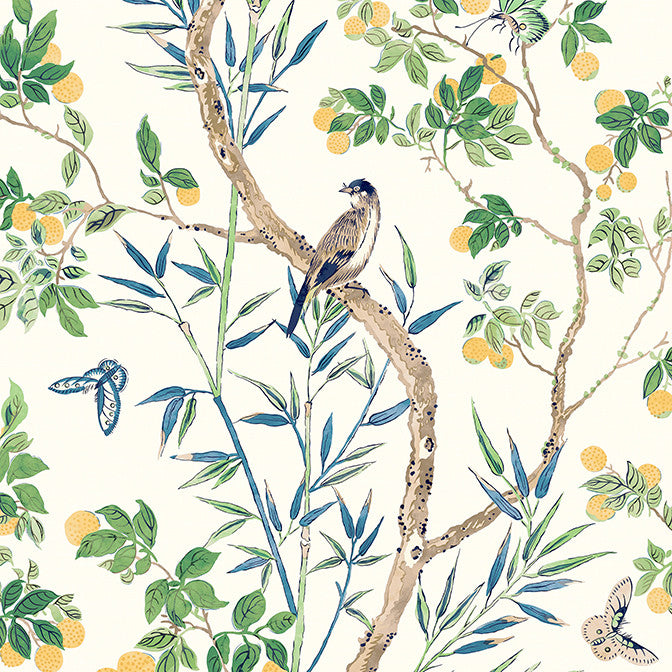 Claire Yellow and Navy T42013 by Thibaut Wallpaper Thibaut Wallpaper Claire Yellow and Navy T42013Wallpaper Sojourn Non Woven Wallpaper UNITED STATES </p><p>Repeat: V: 36 27 - Fabric Carolina -