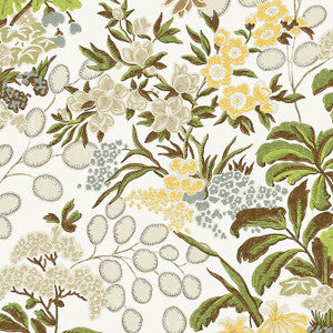 Meadow Green T42035 by Thibaut Designer Wallpaper