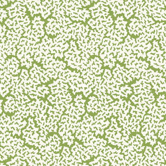 Maldives Green T42041 by Thibaut Wallpaper Thibaut Wallpaper Maldives Green T42041Wallpaper Sojourn Non Woven Wallpaper UNITED STATES </p><p>Repeat: V: 25.25 27 - Fabric Carolina -