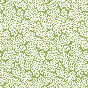 Maldives Green T42041 by Thibaut Designer Wallpaper