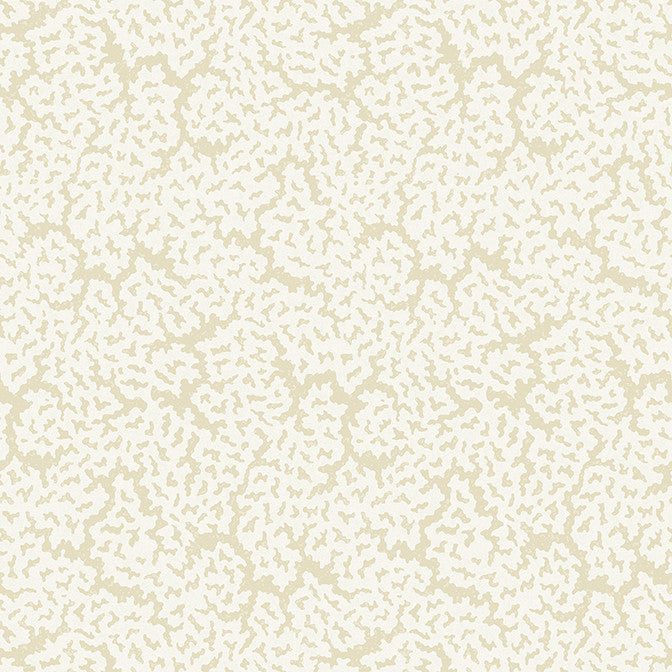 Maldives Cream T42059 by Thibaut Wallpaper Thibaut Wallpaper Maldives Cream T42059Wallpaper Sojourn Non Woven Wallpaper UNITED STATES </p><p>Repeat: V: 25.25 27 - Fabric Carolina -