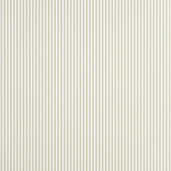 Conner Stripe Green and Beige T44066 by Thibaut Wallpaper Thibaut Wallpaper Conner Stripe Green and Beige T44066Wallpaper STRIPES & CHECKS RESOURCE Non Woven Wallpaper U.S.A </p><p>Repeat: H: , V: 27  in  (68.58  cm) - Fabric Carolina -