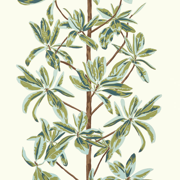 Mangrove Tree Sage T45034 by Thibaut Wallpaper Thibaut Wallpaper Mangrove Tree Sage T45034Wallpaper WANDERLUST Wallpaper U.S.A </p><p>Repeat: H: , V: 36   (91.44  cm) 27  in  (68.58  cm) - Fabric Carolina -