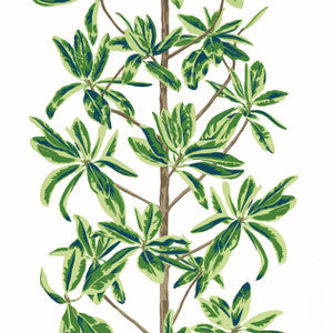 Mangrove Tree Green and White T45035 by Thibaut Designer Wallpaper