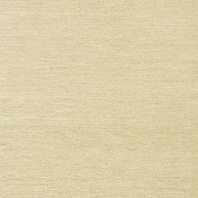 Shang Extra Fine Sisal Putty T5032 by Thibaut Wallpaper Thibaut Wallpaper Shang Extra Fine Sisal Putty T5032Wallpaper Grasscloth Resource Extra Fine Sisal CHINA </p><p>Repeat: V: - 36 - Fabric Carolina -