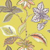 LUCALA Citron T5752 by Thibaut Designer Wallpaper