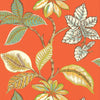 LUCALA Coral T5754 by Thibaut Designer Wallpaper
