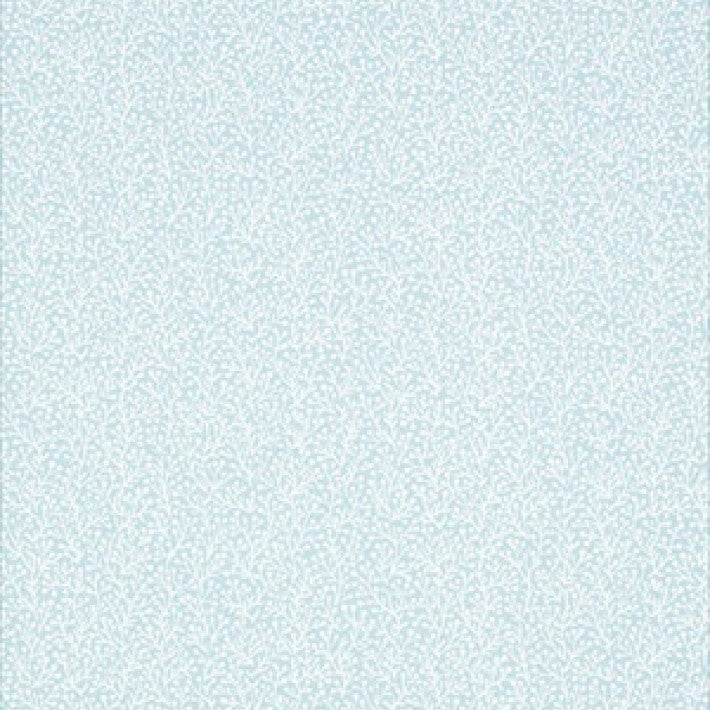 T5776