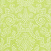 HARVARD DAMASK Citrus T6023 by Thibaut Designer Wallpaper