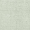 Bankun Raffia Aqua T6808 by Thibaut Designer Wallpaper
