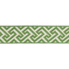 Sanchi Tape Kiwi by Brunschwig & Fils Designer Trim