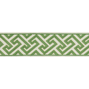 Sanchi Tape Kiwi by Brunschwig & Fils Designer Trim