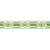 Ganden Tape Green by Brunschwig & Fils Designer Trim