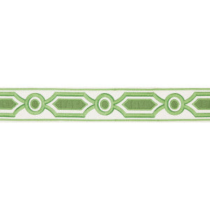 Ganden Tape Green by Brunschwig & Fils Designer Trim