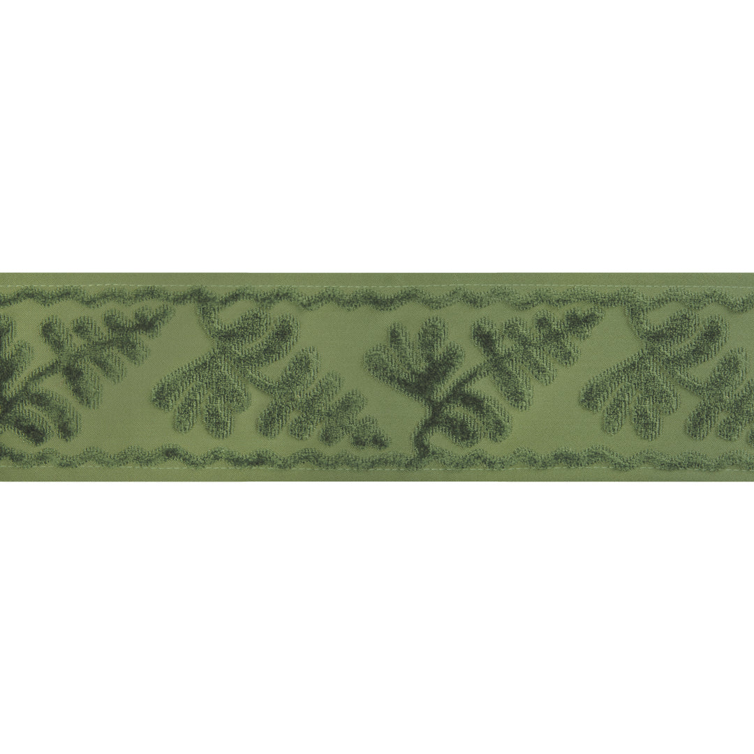 Cassis Tape - Sage T8024101.30.0 by Brunschwig & Fils Designer Trim
